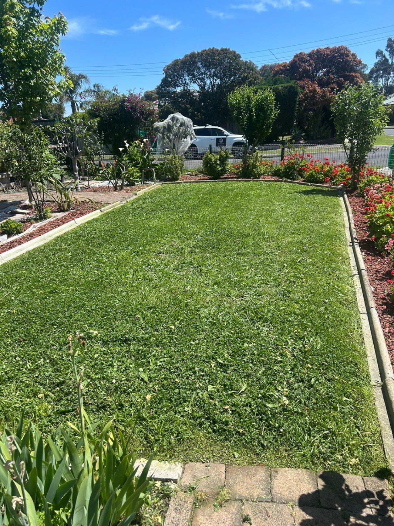 Property Maintenance